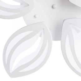 Потолочная светодиодная люстра Arte Lamp Daisy  - 5